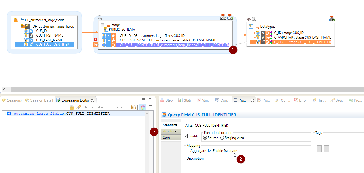 mapping datatype enable